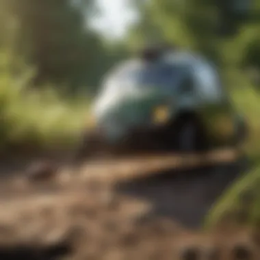 Environmentally friendly pest control methods illustration