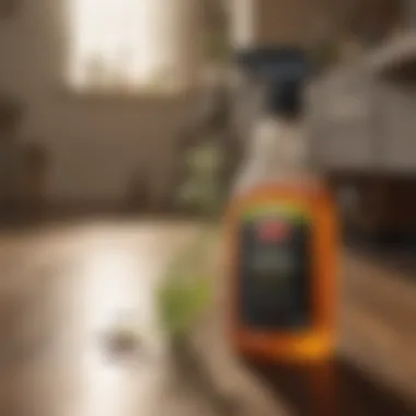 Chemical-Free Pest Spray Solutions Organic Pest Control Sprays