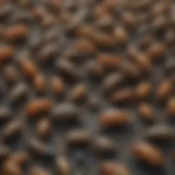 Illustration depicting common pests in the USA