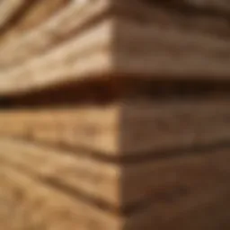 Termite-Resistant Building Materials