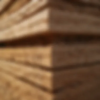 Innovative Termite-Resistant Building Materials Termite-Resistant Building Materials