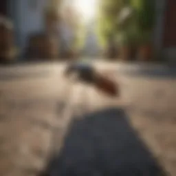 Natural Pest Repellent