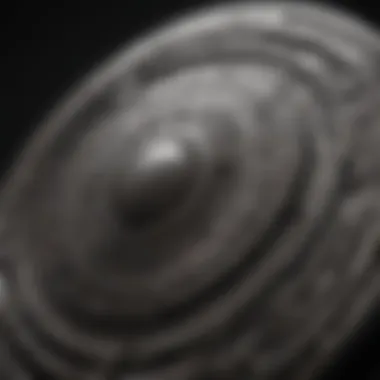 Durable Shield: Boracare's Long-Term Protection Long-Term Protection Provided by Boracare