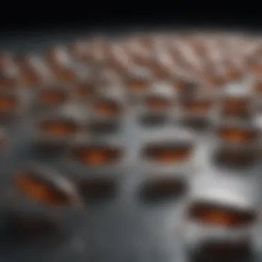 Dynamic illustration of various types of flea trap refills showcasing their unique features