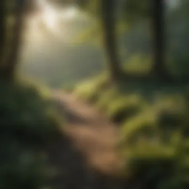 A lush Kentucky landscape showcasing natural pest habitats.