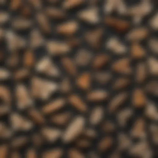 Detailed lifecycle of pantry moths in a visual format