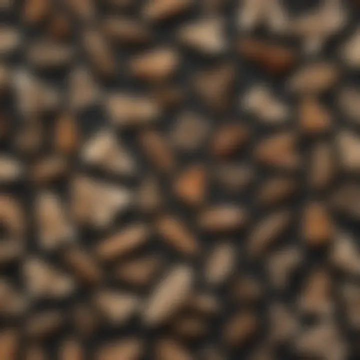 Detailed lifecycle of pantry moths in a visual format