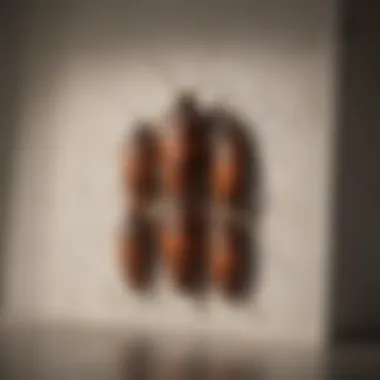 Identifying entry points for roaches in an apartment