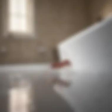 Red ant extermination process in bathroom