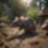 Decomposition process of a rat in backyard