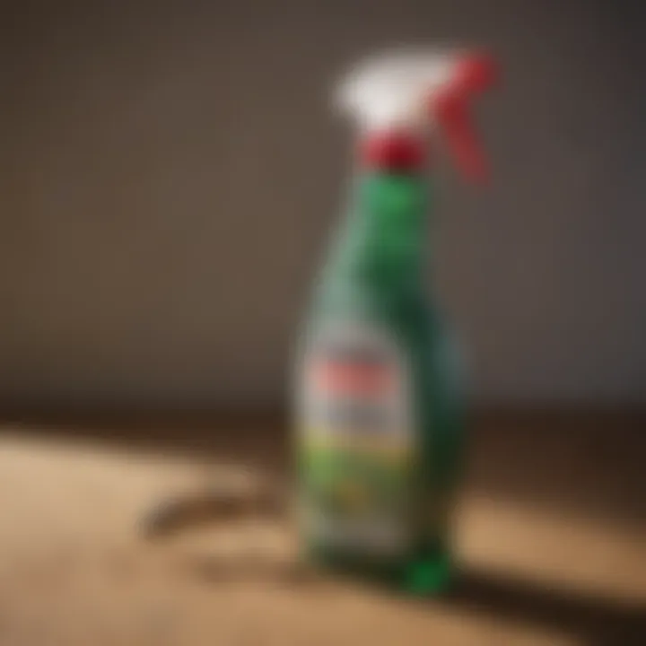 Insecticide spray bottle against pest infestation