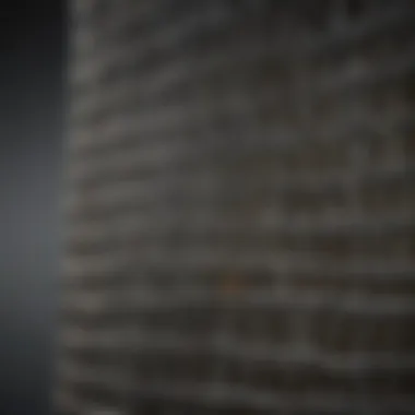 Exploring Diverse Wire Mesh Varieties for Pest Management Different Types of Wire Mesh