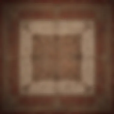 Illustration showing potential ant entry points into carpets