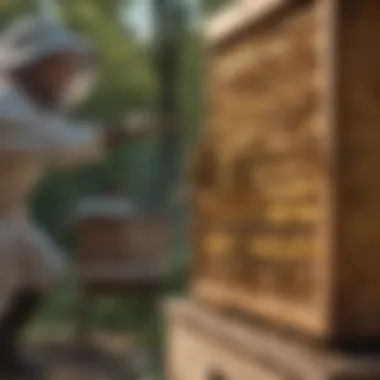 Removing Beehives Safely at Home DIY Beehive Removal