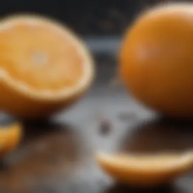 Citrus Spray: A Homemade Mice Repellent DIY Citrus Spray Mice Repellent