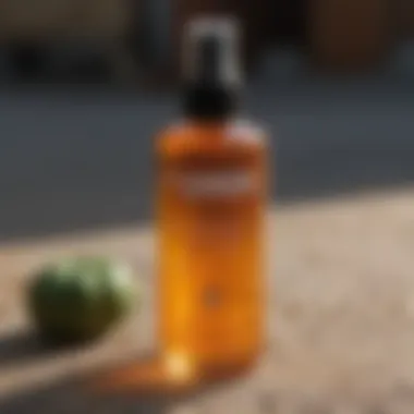 Homemade Repellent Formula DIY Squash Bug Repellent Spray