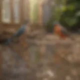 Eco-Friendly Bird Repellent