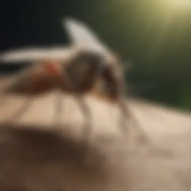 Eco-Friendly Mosquito Treatment Eco-Friendly Mosquito Treatment by Terminix
