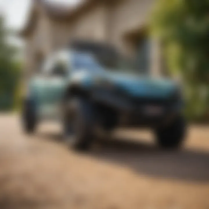 Eco-Friendly Pest Control Solution in McAllen, TX