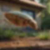 Eco-Friendly Pest Control Solutions in Gilmer TX