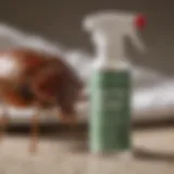 Eco-Friendly Solution for Bed Bug Infestation