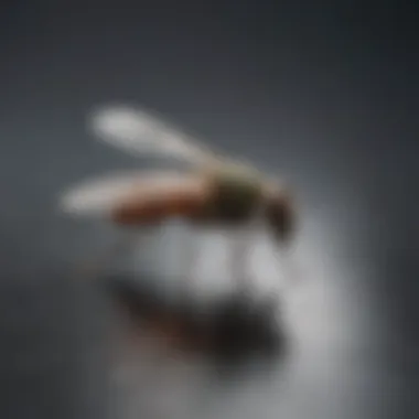 Application of Ecolab Fly Light Technology in Industries Ecolab Fly Light Technology Application