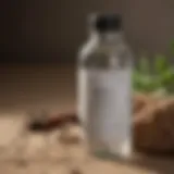 Close-up view of Ecoraider Ant Killer bottle showcasing its eco-friendly label.