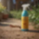 Organic Ant Repellent Spray