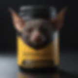 Bat Repellent Solution
