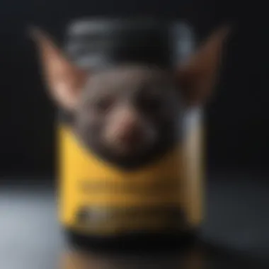 Innovative Bat Repellent Solution Bat Repellent Solution
