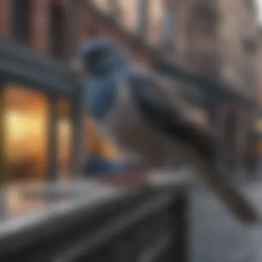 Optimizing Bird Deterrents for Urban Settings Effective Bird Control Methods