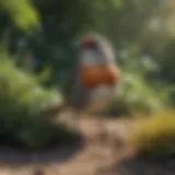 Effective Bird Repellent Garden Plants