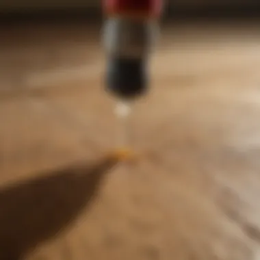 Close-up of a bug spray nozzle targeting termites in wood