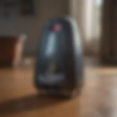 Ultrasonic Pest Repeller Ultrasonic pest repeller for indoor flea elimination