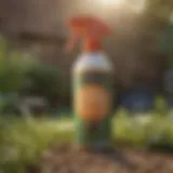 Natural insect repellent spray made from essential oils