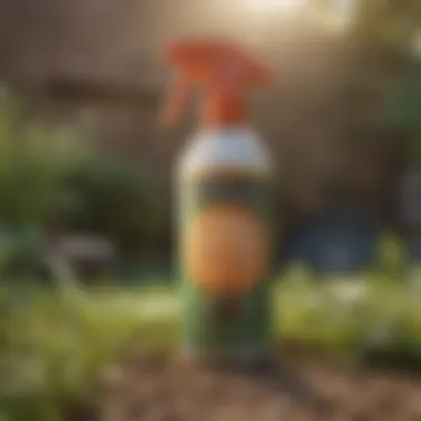 Natural insect repellent spray made from essential oils