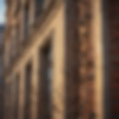 Effective method using bird deterrent spikes