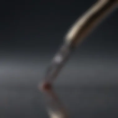 Precision Tweezers for Tick Removal Tick Removal Tool - Precision Tweezers