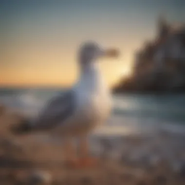 Frequency Optimization for Seagull Deterrent Sound Seagull Deterrent Sound Frequency