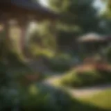 Lush yard with plants and no mosquitoes