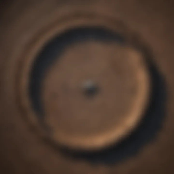 An aerial view of a field affected by mole activity