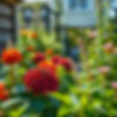 Eco-Friendly Garden Solutions A tranquil garden scene, emphasizing eco-friendly pest control methods amidst flourishing plants.