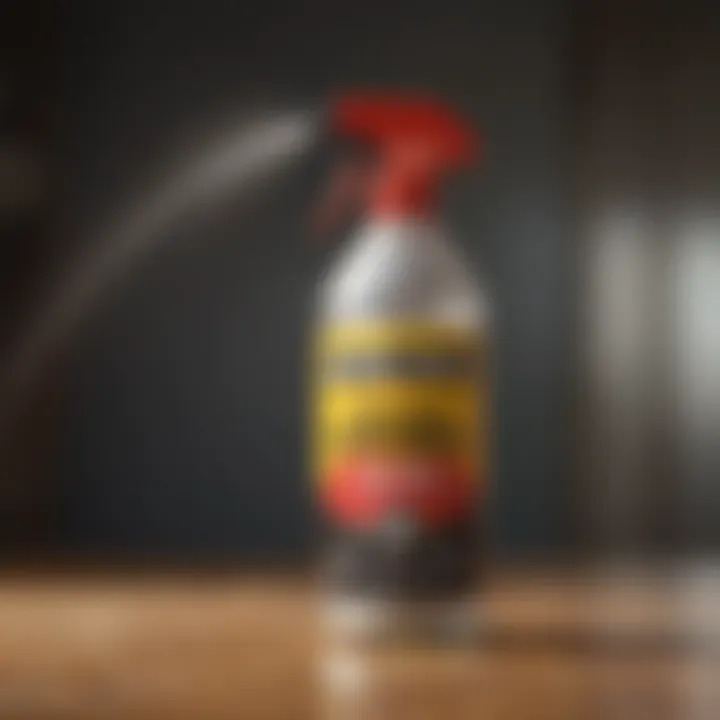 DIY pest control with vinegar spray