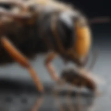 Illustration demonstrating safe removal techniques