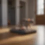 A smart rat trap in a modern home setting