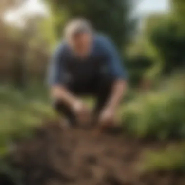 Applying Termidor in a Garden Application of Termidor in a garden