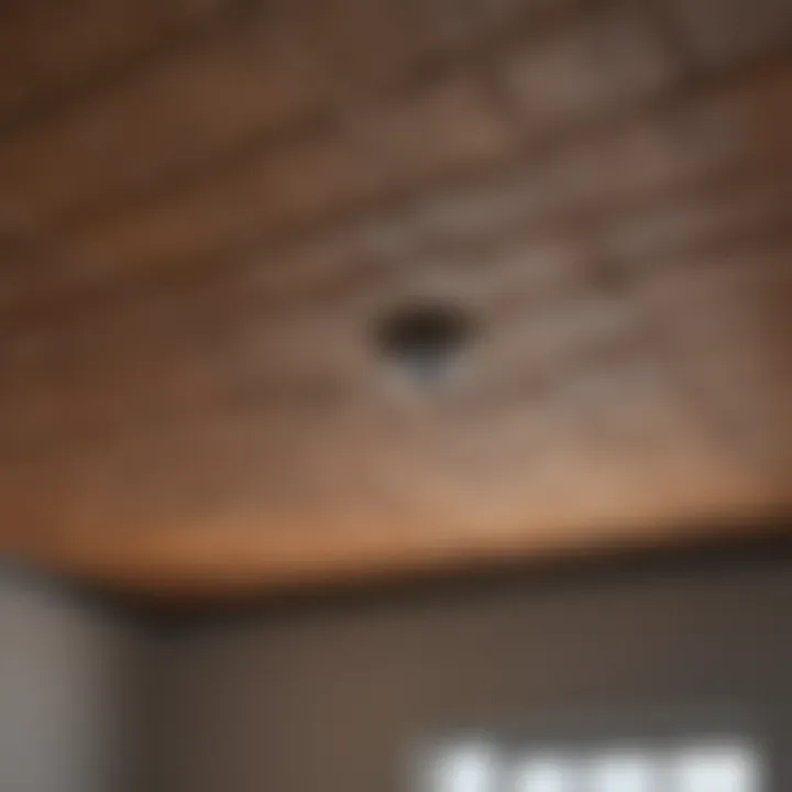Ceiling Sealant Application