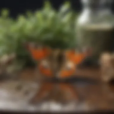 Organic Ingredients for Moth Repellent Natural moth repellent ingredients