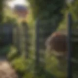 Reinforcing Garden Fence to Keep Rats Out Rodent-proofing garden fence