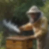 Beekeeper using smoke to safely remove bees